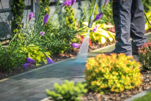 Reliable Carnegie, OK  Pressure Washing Services Solutions